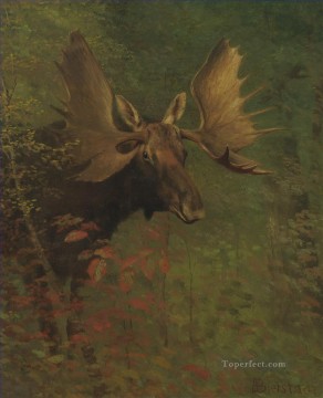 150の主題の芸術作品 Painting - ヘラジカの研究 アメリカのアルバート・ビアシュタット動物
